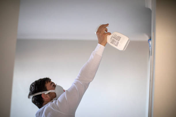 Best Toxic Mold Removal  in Willard, UT