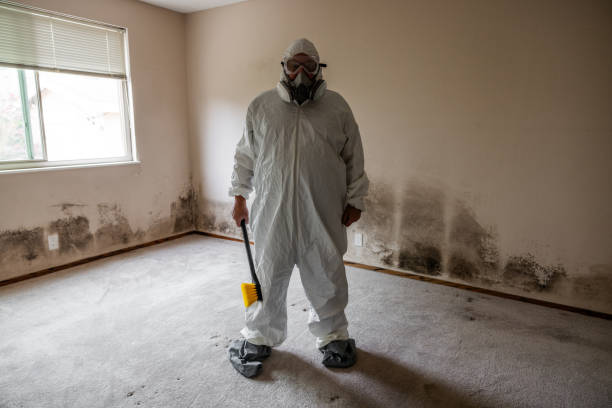 Best Mold Testing  in Willard, UT